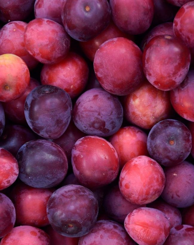 fruits for constipation for kids-1-2-3-4-5
