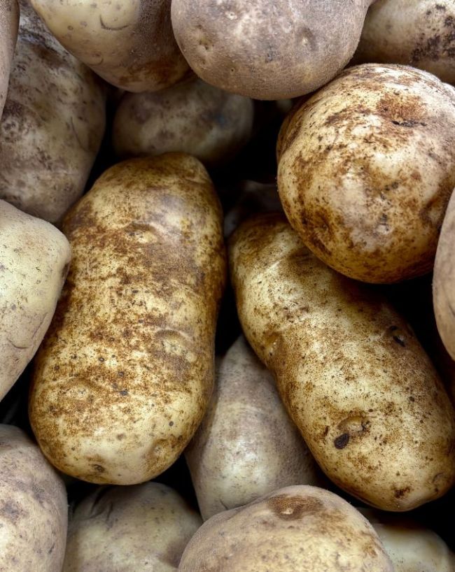 How To Store Potato In Monsoon-1-2