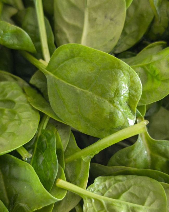Brain boosting foods-1-2