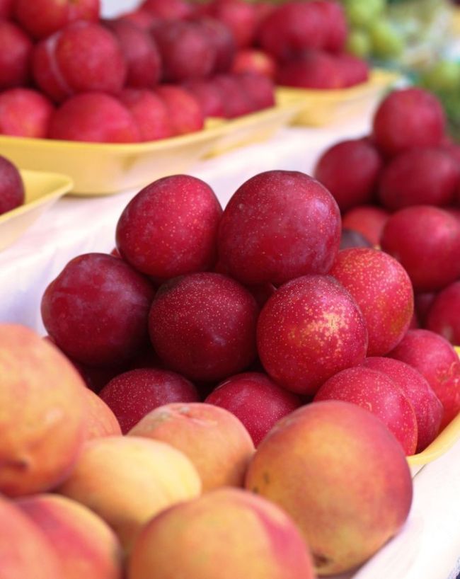 benefits of eating plum in hindi-1-2-3-4-5