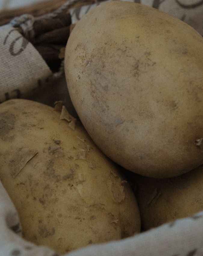 कर सकते हैं अखबार का इस्तेमाल 