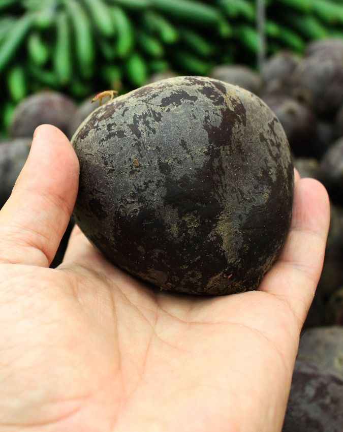 ऐसे तैयार करें लिप बाम 