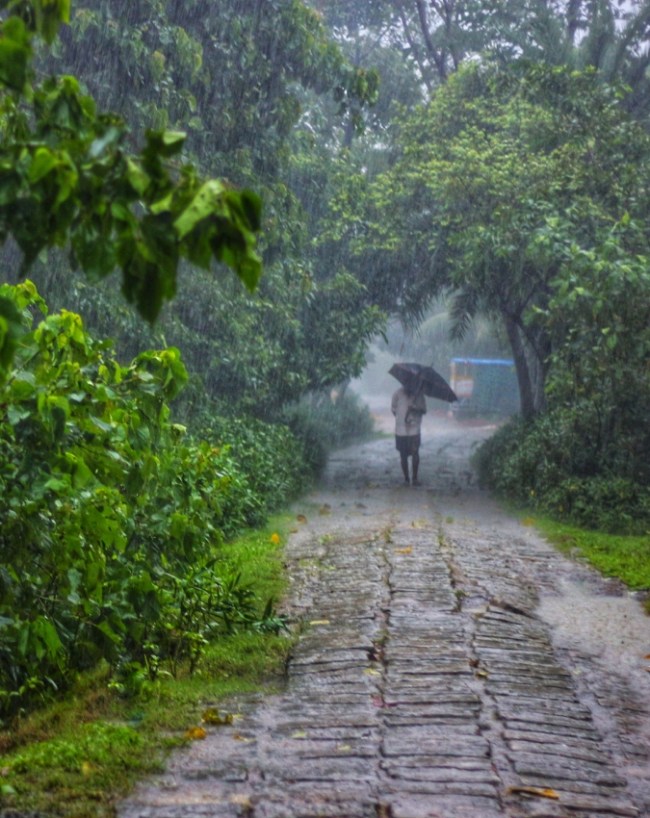 Best Weekend Getaways From Delhi In Monsoon-1-2