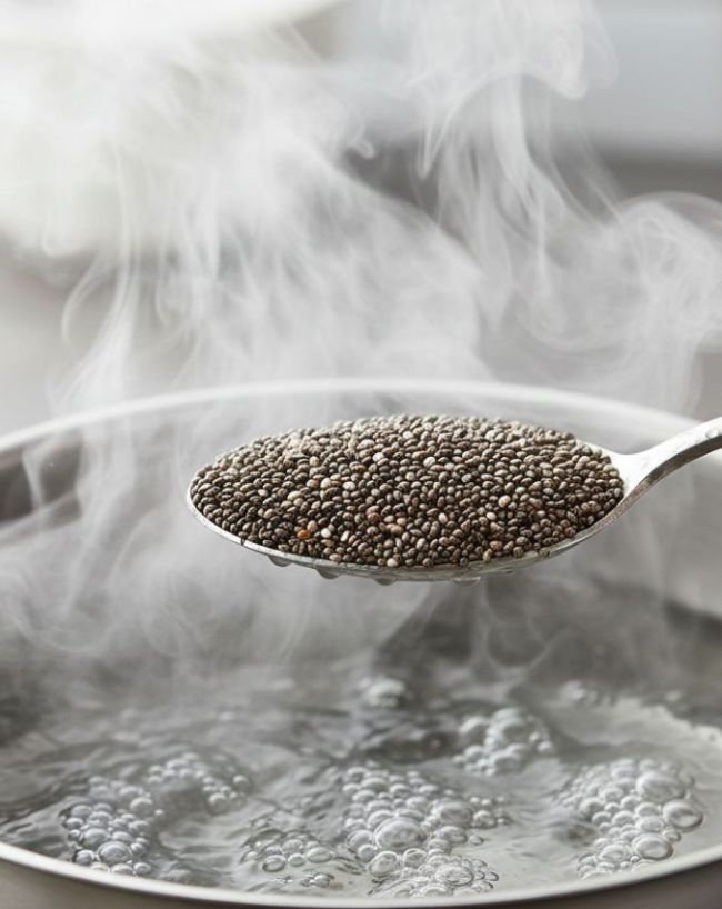 Kise Nahi Khane Chahiye Chia Seeds-1-2-3-4-5-6-7