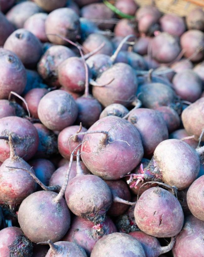 Beetroot for high bp control-1-2-3-4-5-6