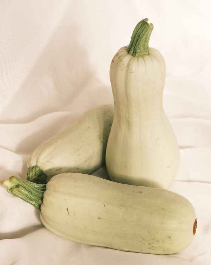 मानसून में कौन सी सब्जियां खानी चाहिए 