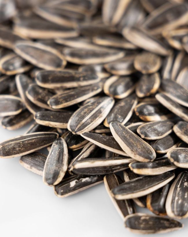 seeds for cholesterol-1-2-3-4-5