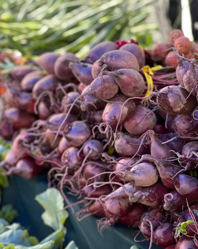 Beetroot for high bp control-1-2-3-4-5-6-7
