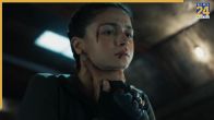 Alpha Movie Streaming Platform