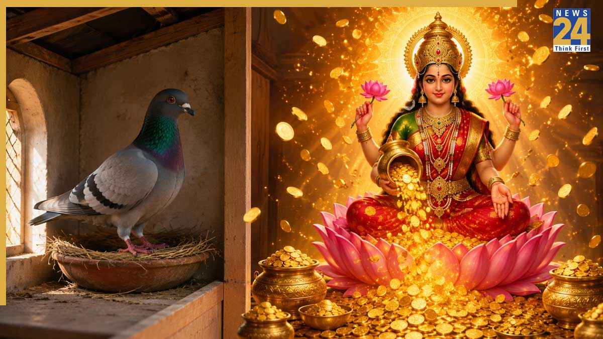 Auspicious Signs Associated With Pigeons Auspicious Signs Associated With Pigeons
