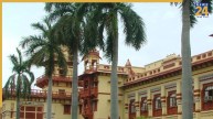 BHU ने बिना परमिशन काट दिए 33 पेड़? अब NGT वसूलेगा 2.65 करोड़ रुपये का हर्जाना; जानें क्या है मामला