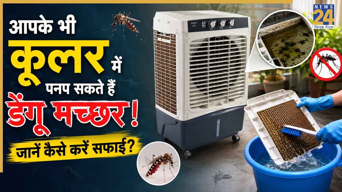 Cooler Cleaning