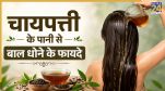 Chai patti ke pani se sar dhone ke fayde