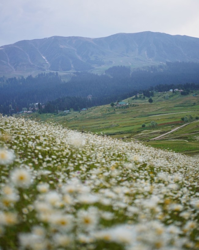 Best Places To Visit In August-1-2