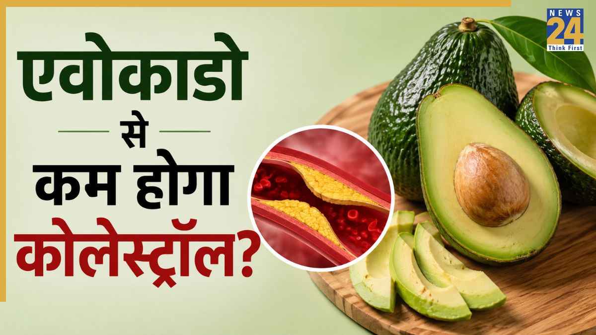 avocado for bad cholesterol