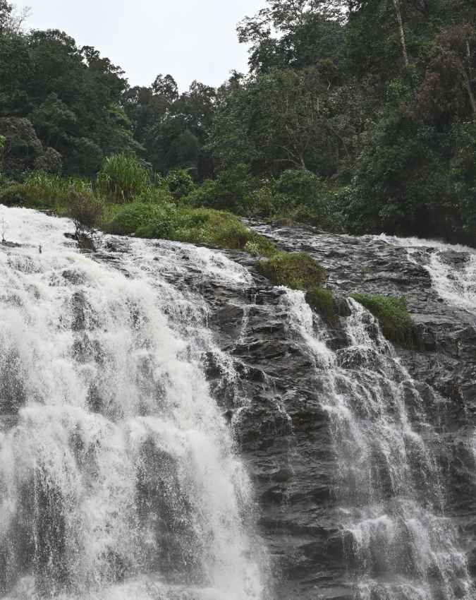 कूर्ग