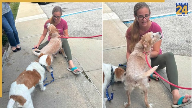 Lost dog Nebraska story