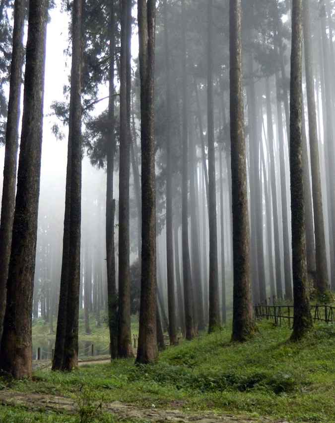 दार्जिलिंग