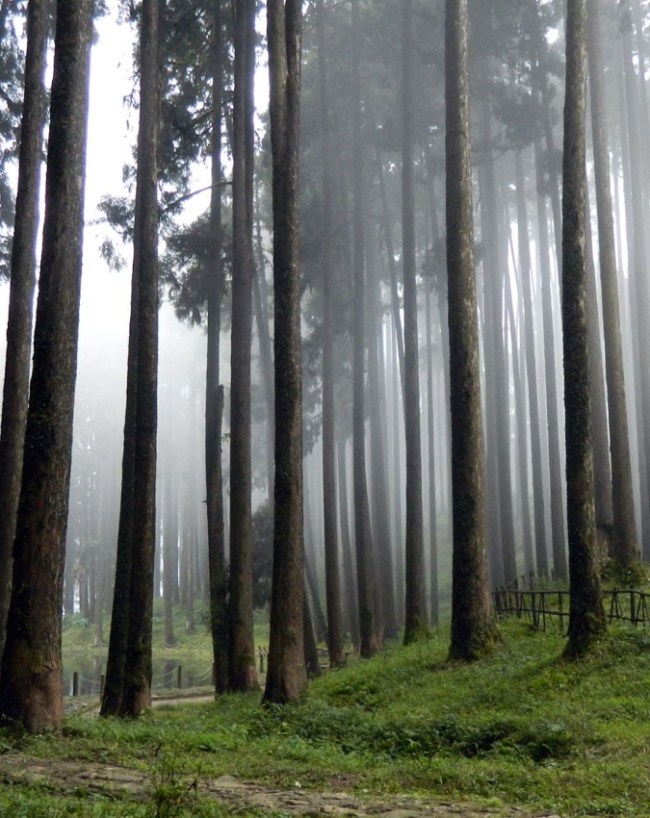 Best Monsoon Destinations In India-1-2-3-4-5