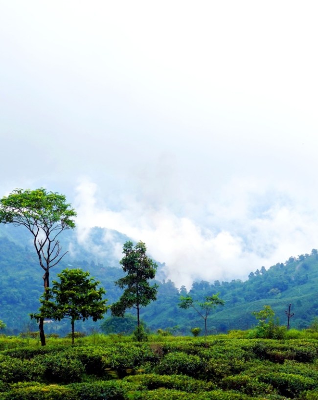 Darjeeling Tourist Places-1-2-3-4