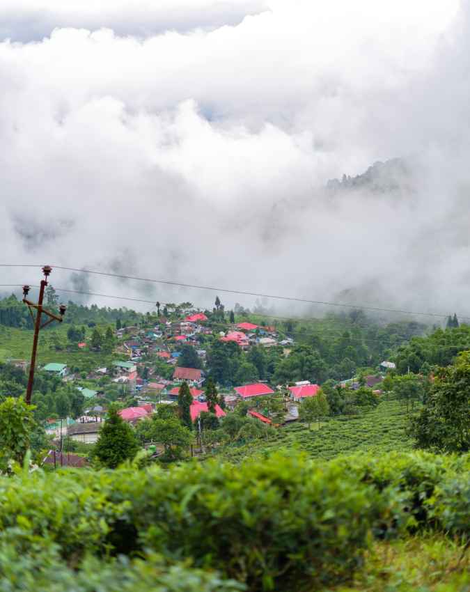 दार्जिलिंग