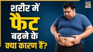 body fat causes