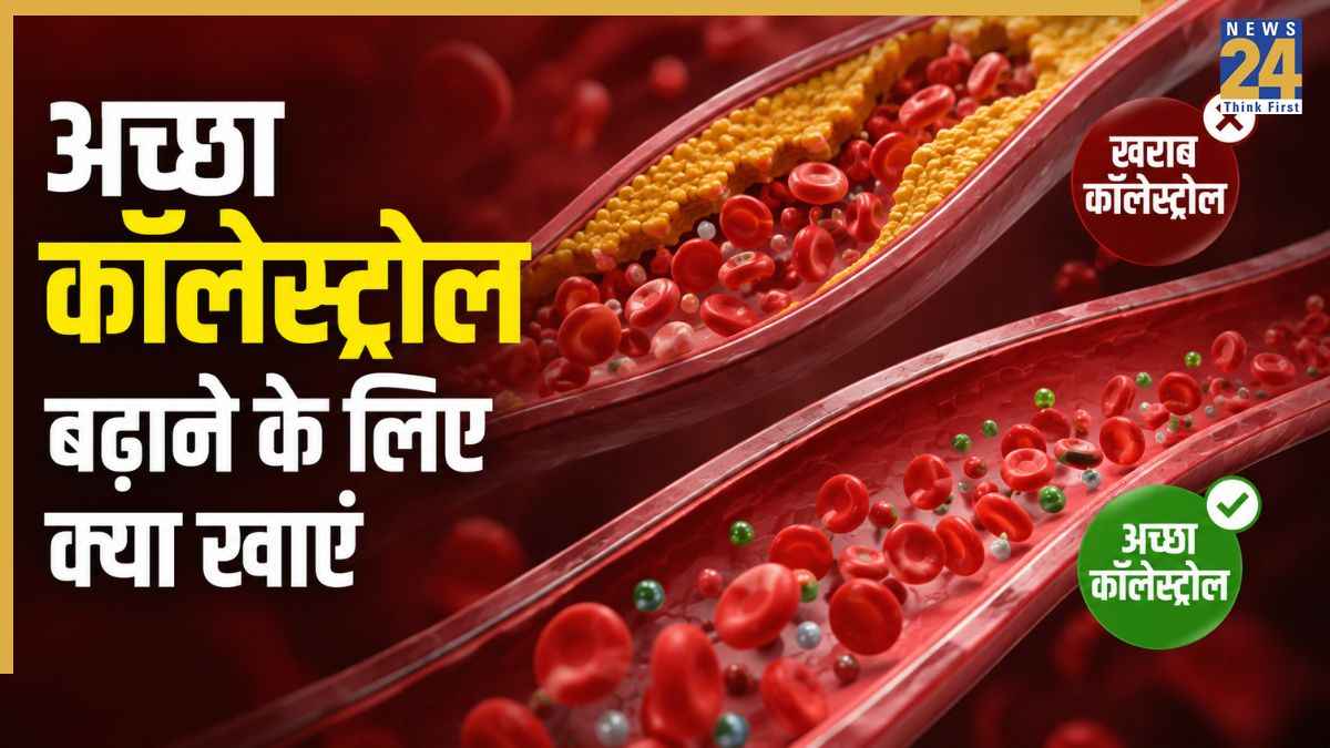 अच्छा कोलेस्ट्रॉल बढ़ाने के लिए क्या खाना चाहिए? डॉक्टर ने बताया खुद ही घटने लगेगा LDL