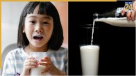 How To Test Fake Milk At Home