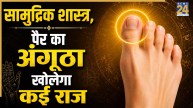 Samudrik Shastra: पैर के अंगूठे की बनावट से खुलेंगे लव लाइफ से जुड़े राज, सामुद्रिक शास्त्र से जानिए महत्वपूर्ण संकेत