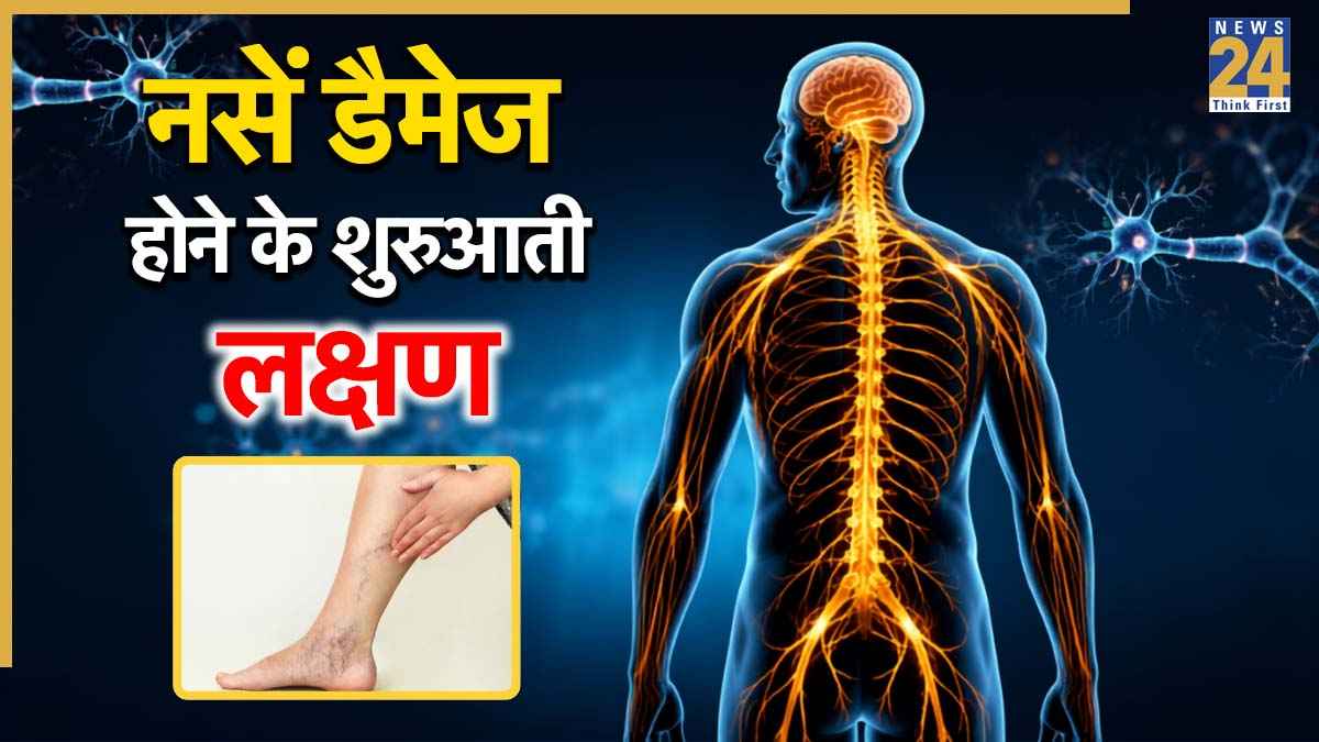 डायबिटीज में नसें डैमेज होने से कैसे बचाएं? डॉक्टर से जानिए कुछ असरदार तरीके