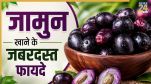 Jamun Khane ke fayde