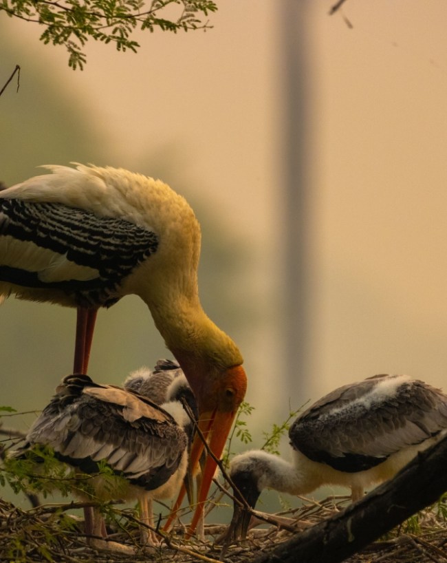 Best Weekend Getaways From Delhi In Monsoon-1-2-3