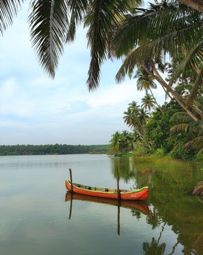 Best Places To Visit In Kerala During Monsoon 2026-1-2