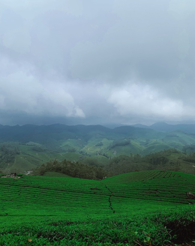 Best Monsoon Destinations India-1-2-3