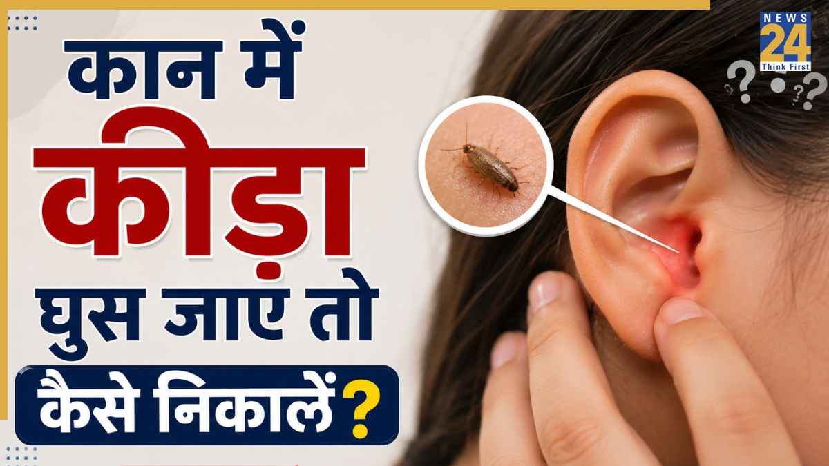 कान के अंदर कीड़ा घुस जाए तो क्या करें? डॉक्टर ने बताया Ear में क्या डालने पर बाहर निकल जाएगा कीट