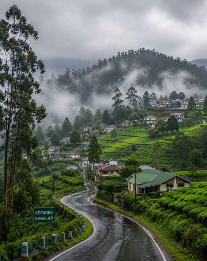 कोटागिरी 