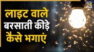 Light wale kide kaise bhagaye