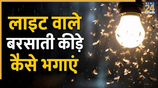 Light wale kide kaise bhagaye