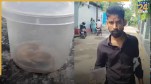 Live cobra in box hospital Bihar news