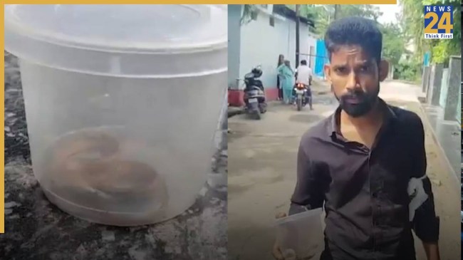 Live cobra in box hospital Bihar news