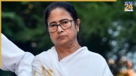 Mamata Banerjee, Calcutta High Court, Bangladeshi activist, Public Interest Litigation, Sharif Usman Hadi