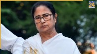 Mamata Banerjee, Calcutta High Court, Bangladeshi activist, Public Interest Litigation, Sharif Usman Hadi