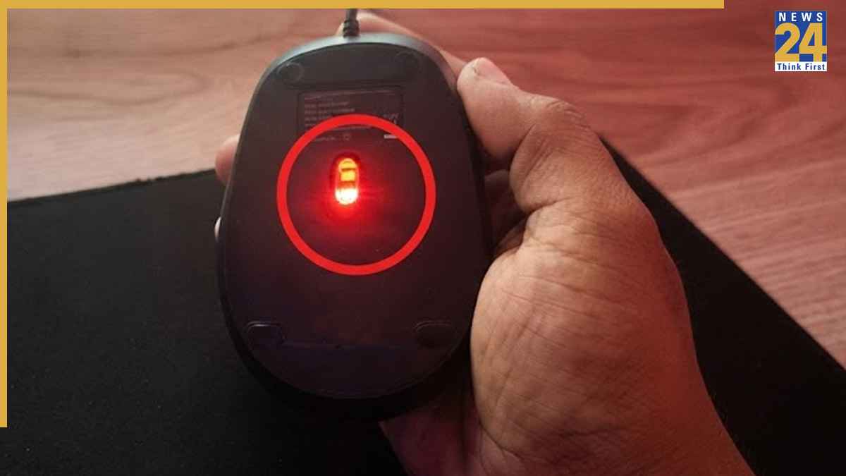 MOUSE.jpg