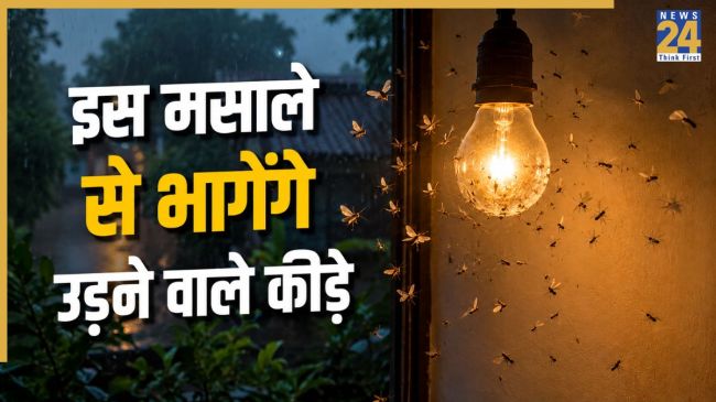 Monsoon Insect Home Remedies