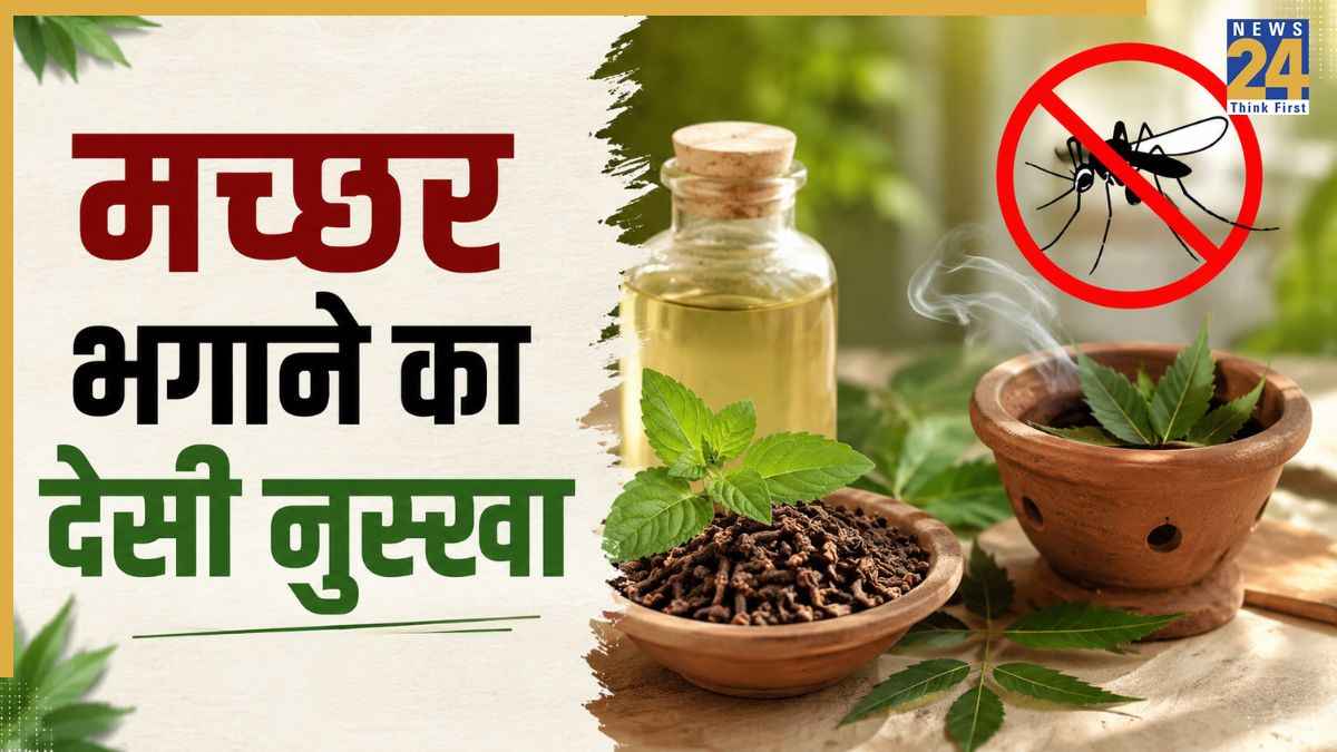 मच्छर भगाने के लिए इस सफेद चीज का धुंआ कर दीजिए घर में, महंगी धूपबत्ती नहीं बल्कि घरेलू नुस्खा दिखाएगा असर