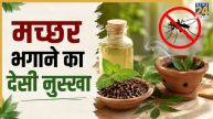 Mosquito Home Remedies