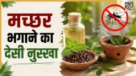 Mosquito Home Remedies