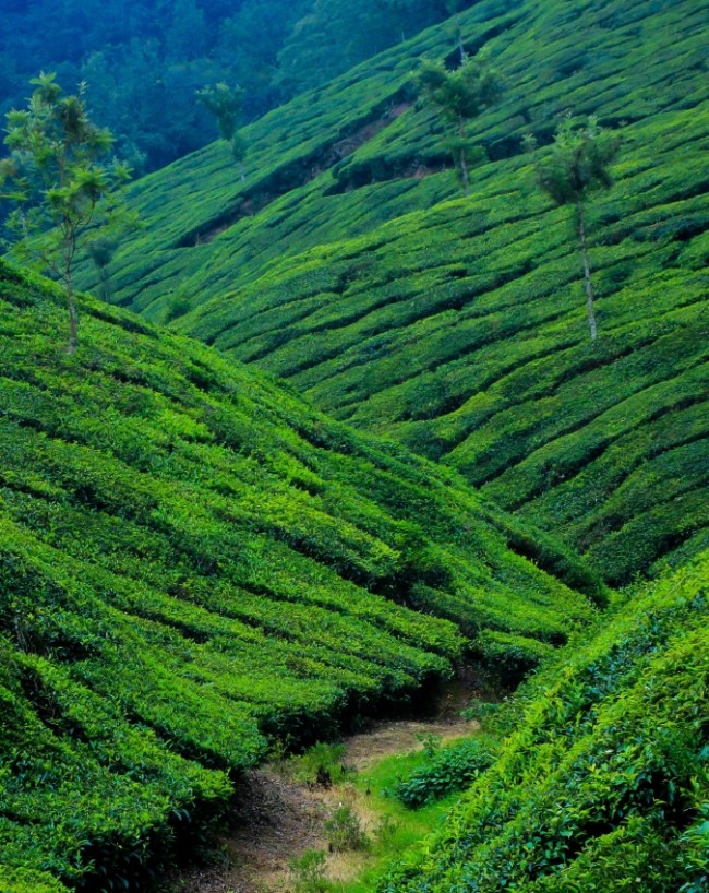 Best Places To Visit In August-1-2-3-4-5