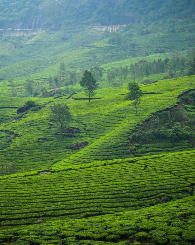 Best Places To Visit In Kerala During Monsoon 2026-1-2-3