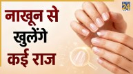 Samudrik Shastra: नाखूनों पर निशान से मिलते हैं कई संकेत, सामुद्रिक शास्त्र से जानिए जीवन के रहस्य